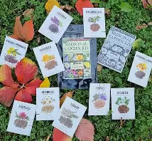 medicinal garden seed kit